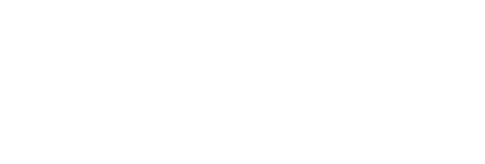 Siemens Partners